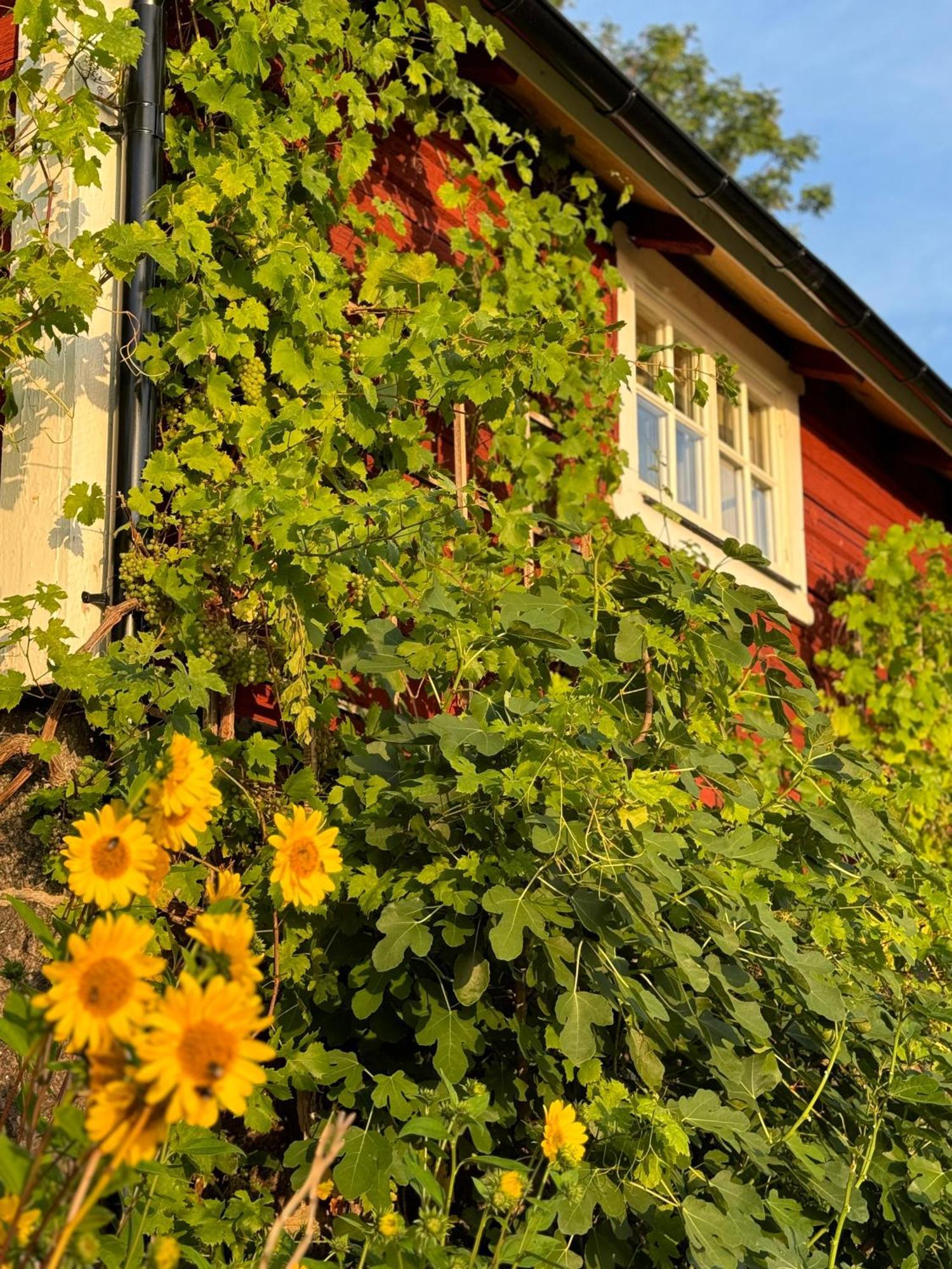Вілла Brunstorpsgard Braenneriet Гускварна Екстер'єр фото